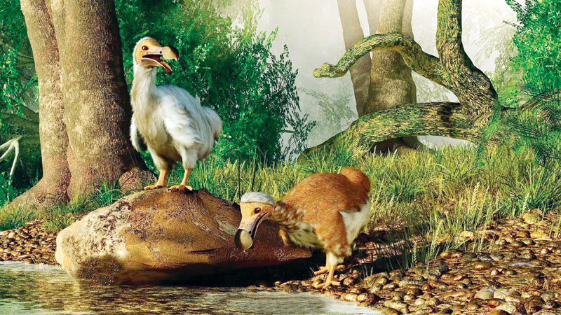 How to decide which extinct species we should resurrect
