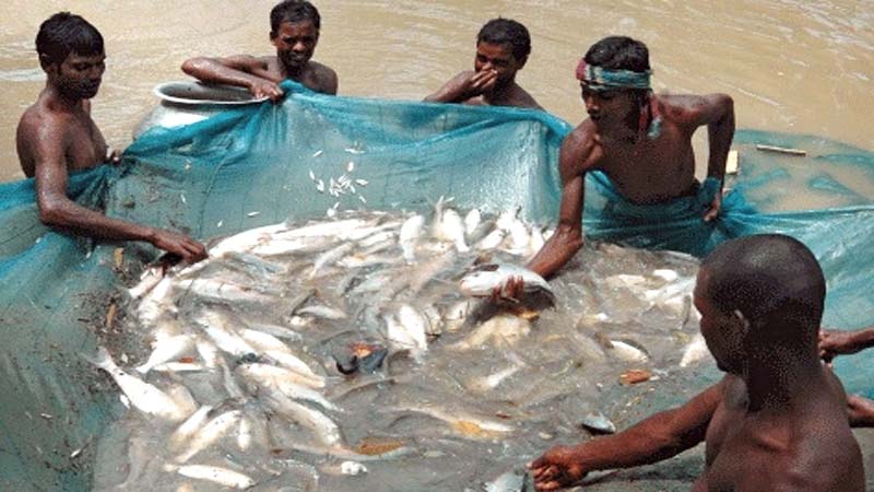 Boost production to attain self-reliance on fish