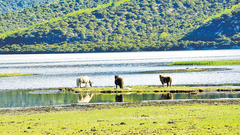 Luorong villagers: Lucid waters and lush mountains
are our rice bowl
