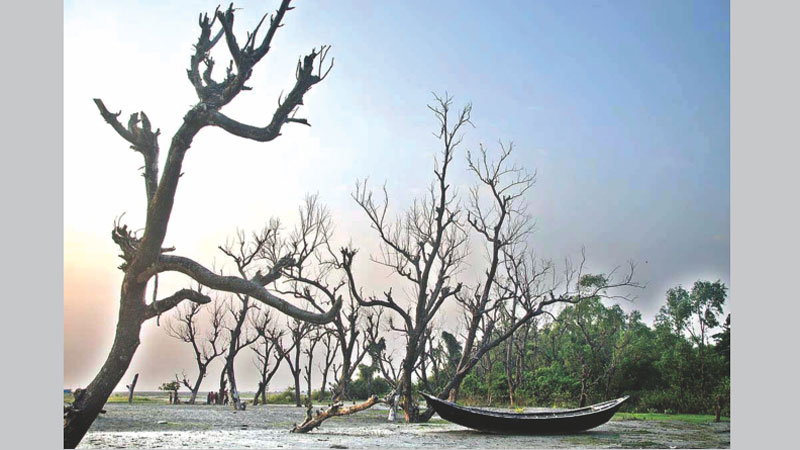 ‘Concerted effort needed to combat climate change threats’