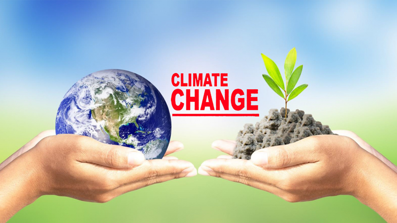 Experts for ecosystem-based adaptation