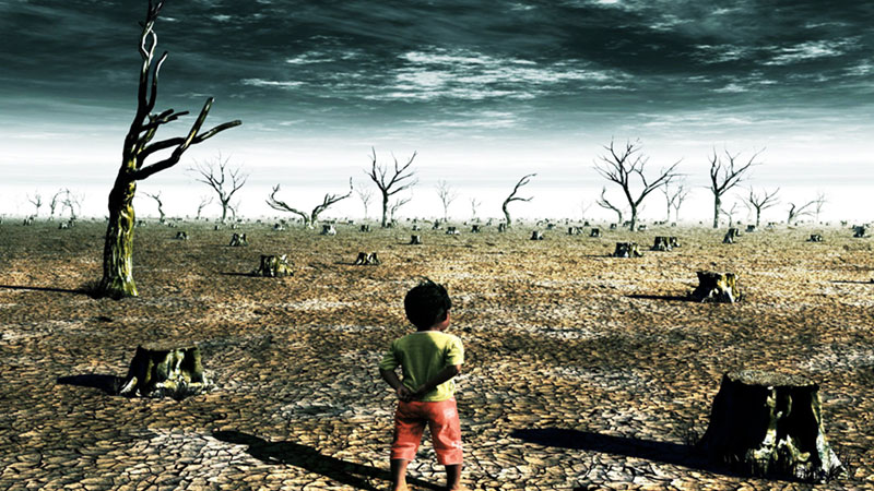 Temperature, rainfall variations major climate concerns: IOM
