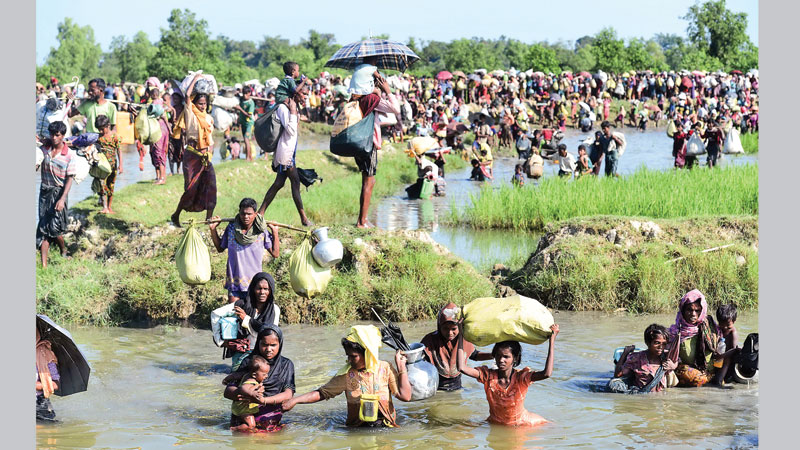 Refugee return premature
