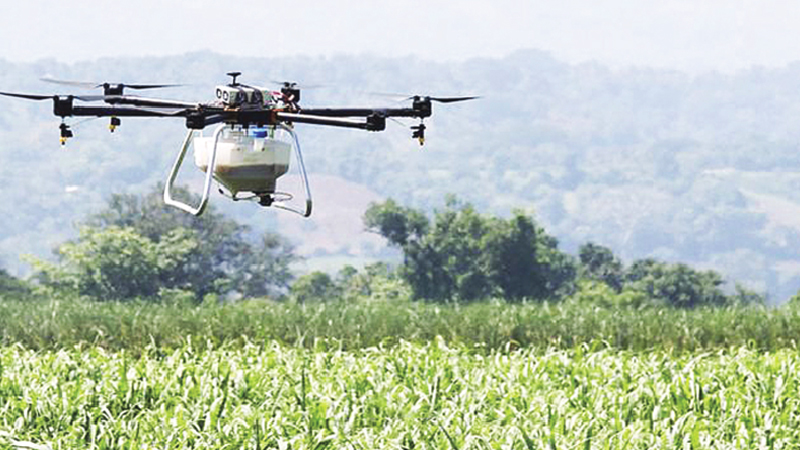 The crop-spraying drones that go where tractors can't