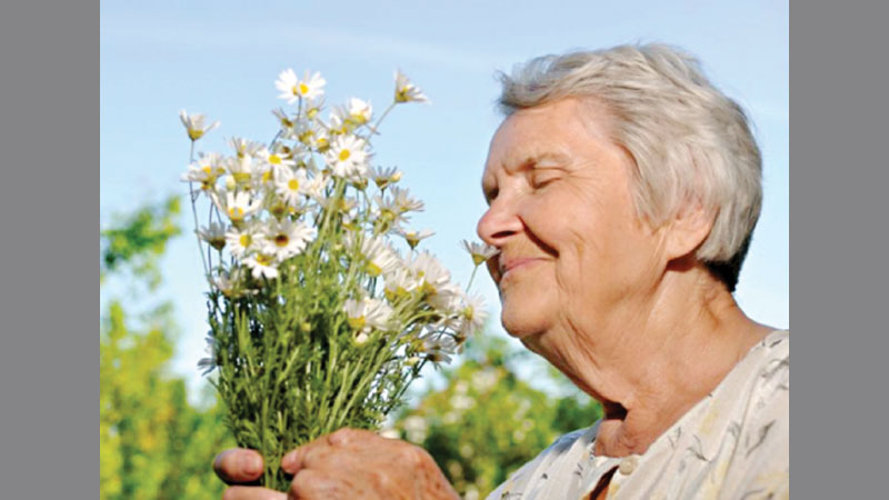 Decreased sense of smell may indicate early dementia
