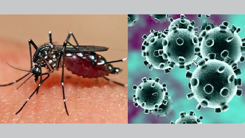 ‘Awareness, joint efforts can 
help fight dengue, coronavirus’