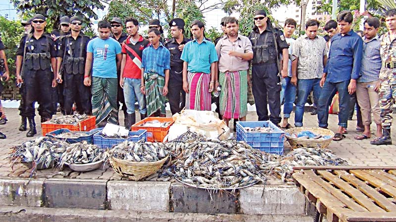 Five punished  for selling banned fish