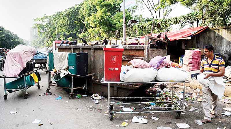 To have litter-free capital still a distant dream, opine experts  