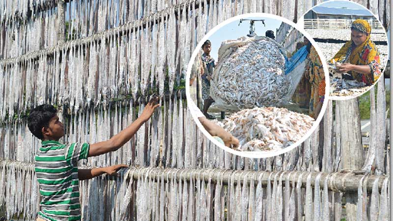 A big boost for dried fish
