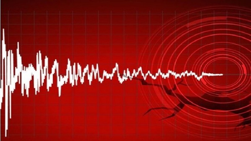 Earthquake shakes parts of Bangladesh