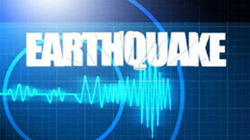 Experts for earthquake resistant buildings