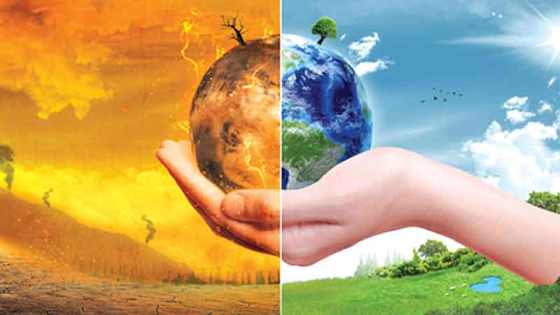 Living with eco-anxiety