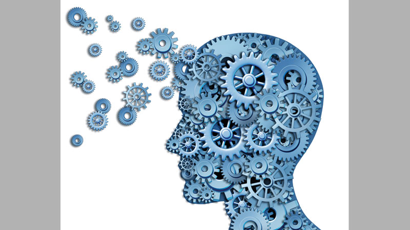 Building a knowledge based economy 