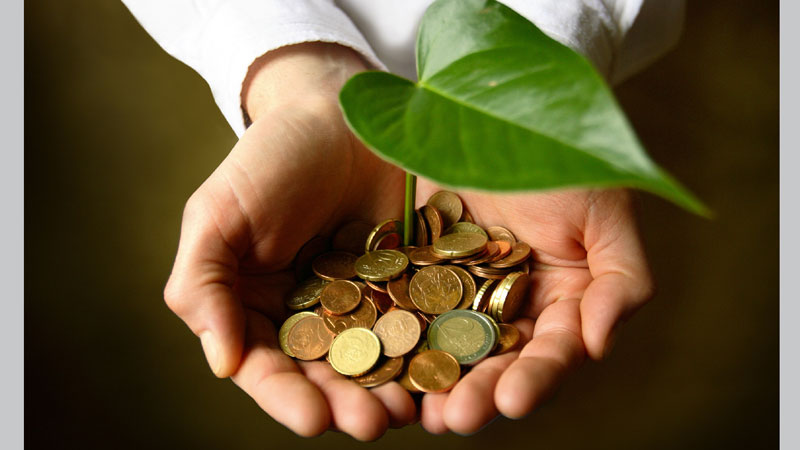 A basin-wide governance approach needed for saving Halda’s ecosystem
