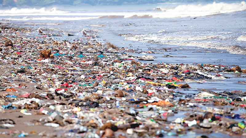 Towards sustainable environmental governance in Bangladesh
