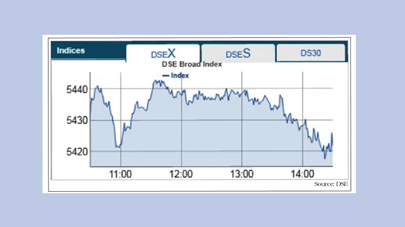 Price fall in large-caps drives stocks down