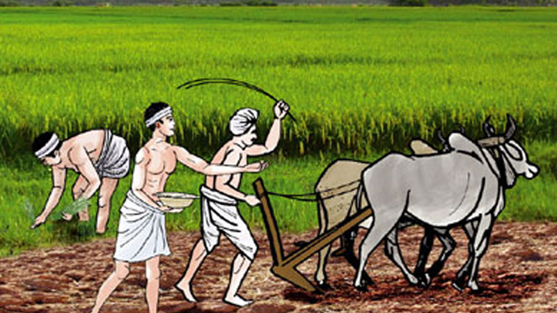 Stress on quality agricultural inputs for farmers
