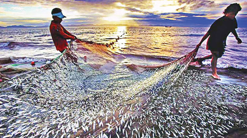 Blue economy: Road to economic prosperity in Bangladesh
