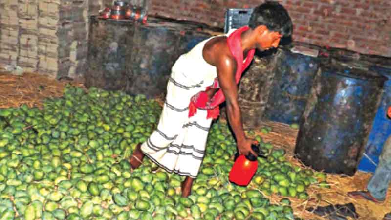 Take action against 
food adulteration