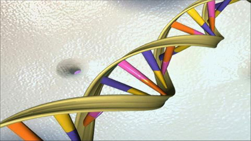 Human genome decoded with pocket-sized device