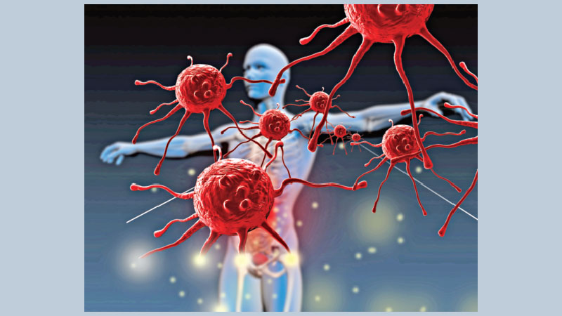 How to boost your immune system- part 03