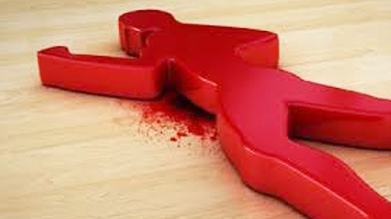 8 killed in road crashes