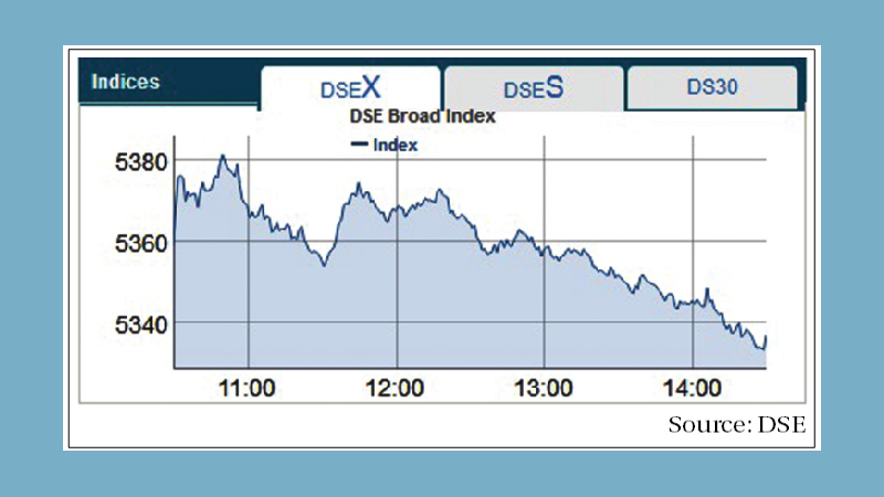 Price fall in large-caps drives stocks down