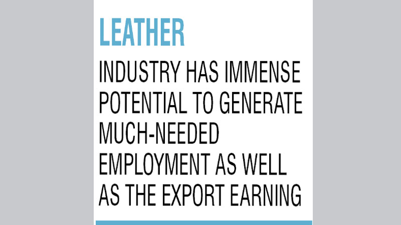 Two new leather complexes