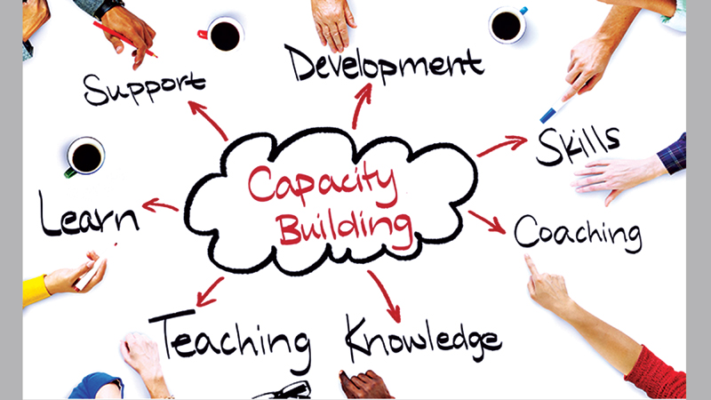 Capacity building of local professionals  