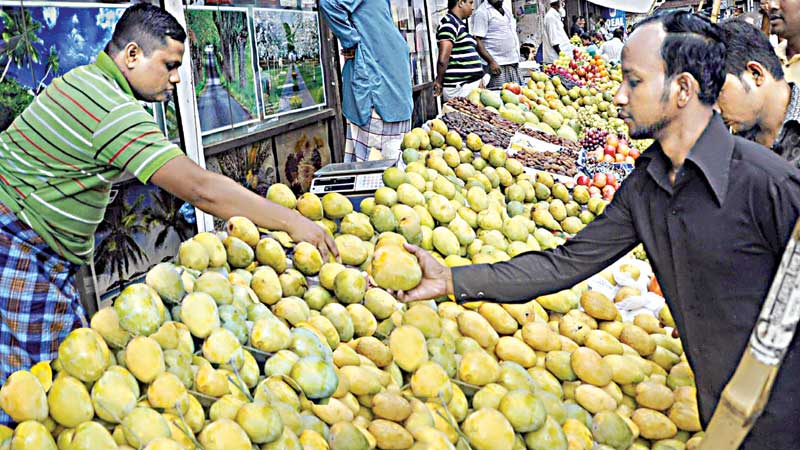 Mango harvest badly affected by hot spell, untimely rainfall