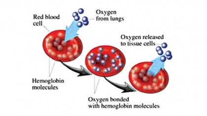 Blood disease