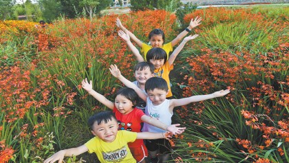 China's MOC issues statement on U.S. investigation