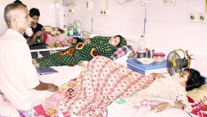 3 die, 1,157 hospitalised in 24 hours
