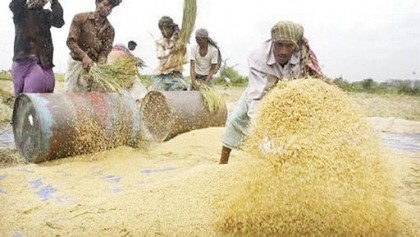 Govt to subsidize farmers with Tk 9,000cr to minimise COVID-19 fallout