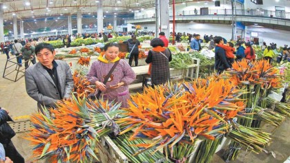 A wall of 15,000 fresh cut flowers impresses  attendees