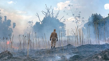 Amazon basin fires keep surging