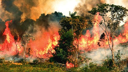Record number burning in Brazil rainforest 