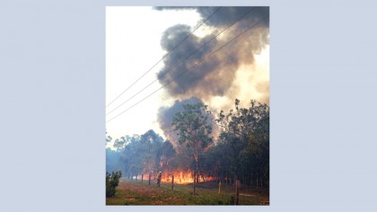 Thousands evacuated as Australian bushfires rage