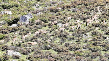 Yunnan sets “red lines” for ecological conservation