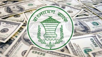 Pay heed to the remittance fighters 