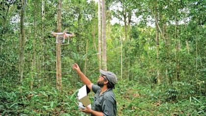 Biodiversity and the planet 