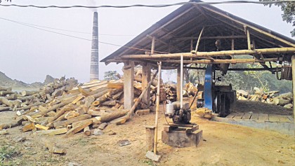 Brick kiln owners set up sawmills despite ban 