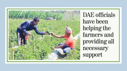 Capsicum farming by duo encourages local farmers