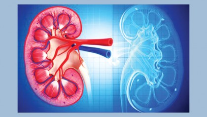 Causes and risk factors of acute renal failure