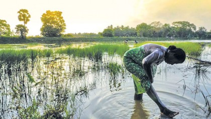 Climate change: What is in store for Sri Lanka?  