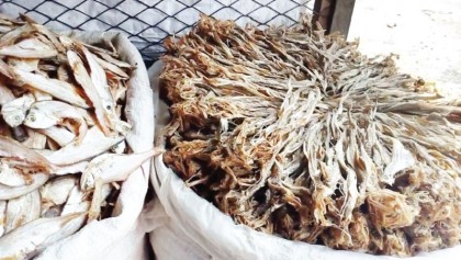 Coastal women now self-reliant by drying fish