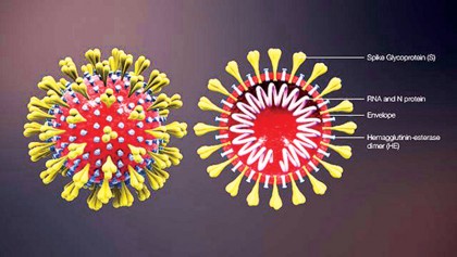 Combating coronavirus 