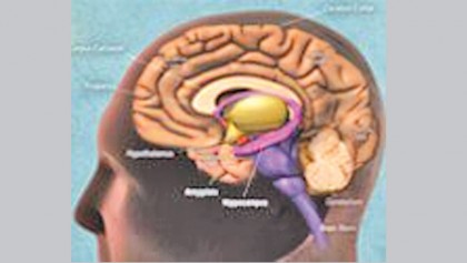 Dementia: Symptoms, 
causes, types, stages, 
and treatments
