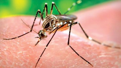 Combating dengue outbreak