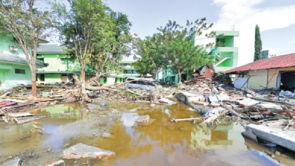 Distraught Indonesians look through bodies